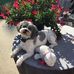 Earlene Wagner - Facebook