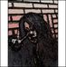 Earlene Wallace - Facebook