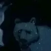 Earlene Ewell - @dojoz32 - TikTok