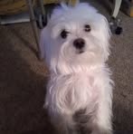 Earlene Wilson - Facebook