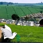 Earlier Bird - Facebook