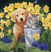 Earlene Foster - Facebook