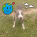 Earline Green - Facebook