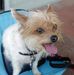Earline Haley - Facebook