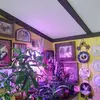 Aline Hatcher - @aline.hatcher - TikTok