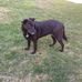 Arlene Langdon - Facebook