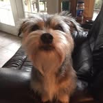 Earline Martin - @tefelab708 - Instagram