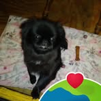 Earline Martin - Facebook