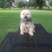 Earline Stanton - Facebook