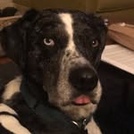 Earl Davis Kienscherf - @early_bird_davis - Instagram
