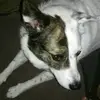 Earlydavis - @earlydesireesfriend - TikTok
