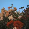 𝕕𝕣𝕒𝕨𝕚𝕟𝕘𑁍 - @nearlywhite - TikTok