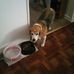 Ernest Boyd - Facebook
