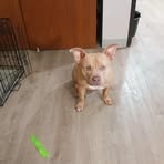 Earnest Dee - Facebook