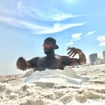 Earnest Files - Facebook