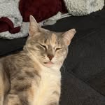 Earnest Harper - @eharper8584 - Instagram