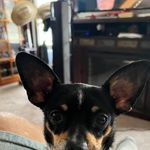 Ernest Long - @ernest.long.52687 - Instagram