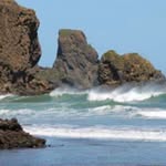 Adrienne Earnest Porter - @adriennearnestporter - Instagram