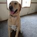 Earnest Ray - Facebook