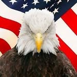 Scott Earnest - @scott.earnest4 - Instagram