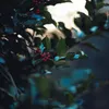 earnestnelma - @earnestnelma - TikTok