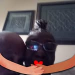 Earnestine Black Gibson - @gibsonearnestineblack - Instagram