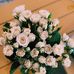 Ernestina Vander Molen - Facebook