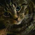 ernestine ward - @tine6300 - Instagram