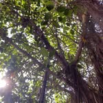 Earth & Sun - @_earthandsun - Instagram