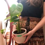 June - @earthsunjune - Instagram