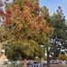 Earvin Magic Johnson Park - Facebook