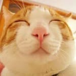 Eason Chau - @lyshxny - Instagram