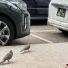 EasonChau - @eason_chau - TikTok
