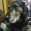 Leonard Laurie Eason - @leonard.laurie.ea - TikTok