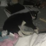 EasonWhite - @vision_eason - Instagram