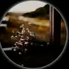 EAST LEE - @east.lee - TikTok