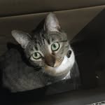 Easter Bailey - @theeastercat - Instagram