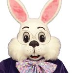 Easter Bunny - @easter.bunny._ - Instagram