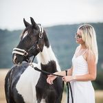 Easter Bunny - @bunnythehorse - Instagram