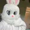 Easter Bunny 🐰 - @secreteasterbunny - TikTok