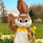 Easter Bunny Visit 🐰 - @easterbunny.homevisit - Instagram