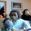 Alexcheekeyeaster Cooper - @alexcheekeyeastercooper - TikTok