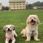 Aster Cooper - Facebook