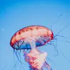 easterncoopera - @easterncoopera - TikTok