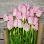 Easterday's Flower & Gift Shop - @easterdaysflowers - Instagram