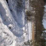 Easterford - @qolpe - Instagram