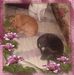 Easter Harris - Facebook