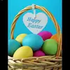 Easter Hunt! 🐣 - @easter_hunt228 - TikTok