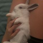 Easter_love_ - @easter_love_ - Instagram
