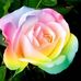 Easther Mcbride - Facebook